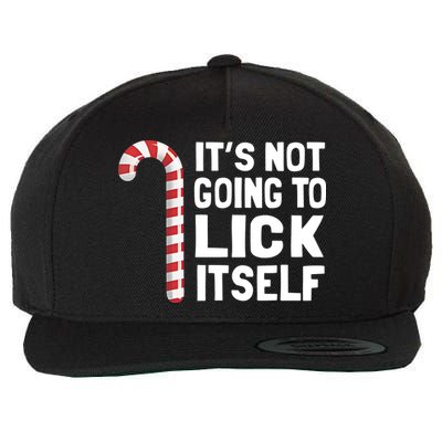 ItS Not Going To Lick Itself Wool Snapback Cap