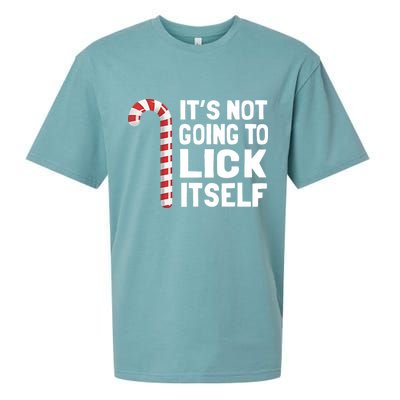 ItS Not Going To Lick Itself Sueded Cloud Jersey T-Shirt