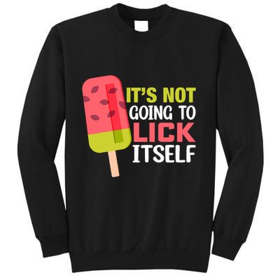 ItS Not Going To Lick Itself Summer Clothes Ice Cream Party Sweatshirt