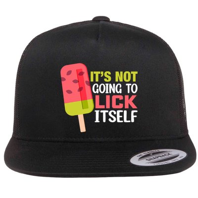 ItS Not Going To Lick Itself Summer Clothes Ice Cream Party Flatbill Hat