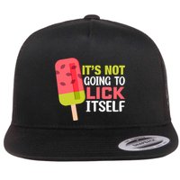 ItS Not Going To Lick Itself Summer Clothes Ice Cream Party Flatbill Hat