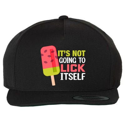 ItS Not Going To Lick Itself Summer Clothes Ice Cream Party Wool Snapback Cap
