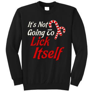 ItS Not Going To Lick Itself Adult Short Sleeve Funny Christmas Sweatshirt