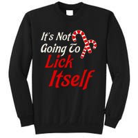 ItS Not Going To Lick Itself Adult Short Sleeve Funny Christmas Sweatshirt