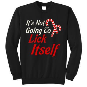 ItS Not Going To Lick Itself Adult Short Sleeve Funny Christmas Tall Sweatshirt