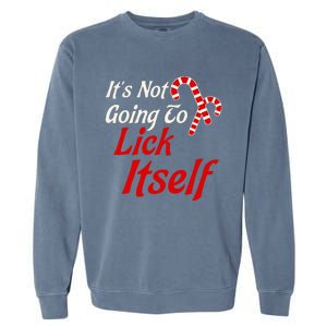 ItS Not Going To Lick Itself Adult Short Sleeve Funny Christmas Garment-Dyed Sweatshirt