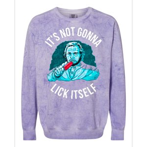 It's Not Gonna Lick Itself Funny Popsicle Colorblast Crewneck Sweatshirt