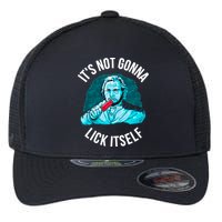 It's Not Gonna Lick Itself Funny Popsicle Flexfit Unipanel Trucker Cap