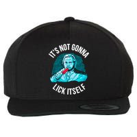 It's Not Gonna Lick Itself Funny Popsicle Wool Snapback Cap