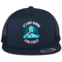 It's Not Gonna Lick Itself Funny Popsicle Flatbill Hat