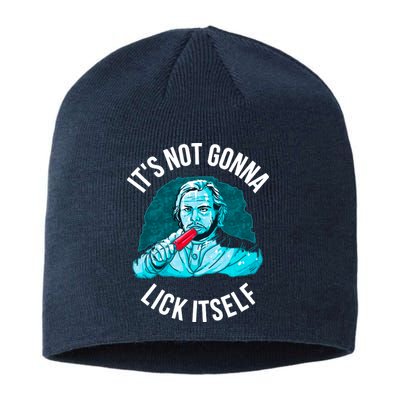 It's Not Gonna Lick Itself Funny Popsicle Sustainable Beanie