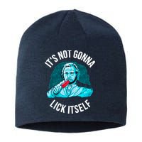 It's Not Gonna Lick Itself Funny Popsicle Sustainable Beanie