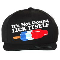 Its Not Gonna Lick Itself Funny Popsicle 4th Of July Gifts Wool Snapback Cap