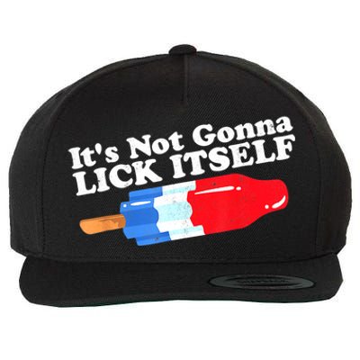 Its Not Gonna Lick Itself Funny Popsicle 4th Of July Gifts Wool Snapback Cap