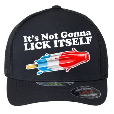 Its Not Gonna Lick Itself Funny Popsicle Flexfit Unipanel Trucker Cap