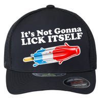 Its Not Gonna Lick Itself Funny Popsicle Flexfit Unipanel Trucker Cap