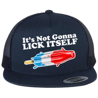 Its Not Gonna Lick Itself Funny Popsicle Flat Bill Trucker Hat