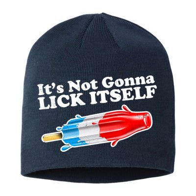 Its Not Gonna Lick Itself Funny Popsicle Sustainable Beanie