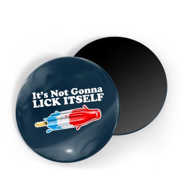 Its Not Gonna Lick Itself Funny Popsicle Magnet