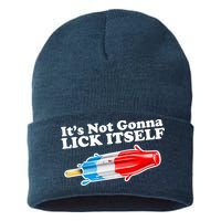 Its Not Gonna Lick Itself Funny Popsicle Sustainable Knit Beanie