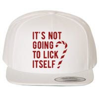 Its Not Going To Lick Itself Funny Christmas Wool Snapback Cap