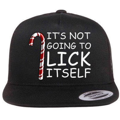 IT'S NOT GOING TO LICK ITSELF Flat Bill Trucker Hat