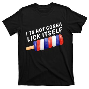 ItS Not Gonna Lick Itself 4th Of July Independence Day Gift T-Shirt