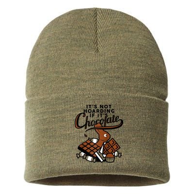 It's Not Hoarding If It's Chocolate Bunny Easter Funny Raglan Baseball Sustainable Knit Beanie