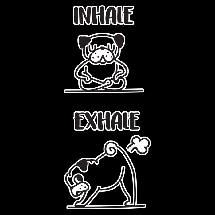Inhale Exhale Pug Cooling Performance Crew T-Shirt