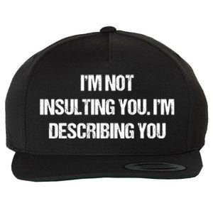 Im Not Insulting You Im Describing You Funny Sarcastic Quotes Wool Snapback Cap