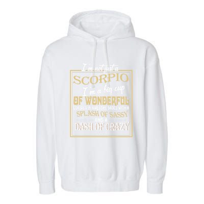 Im Not Just A Scorpio Zodiac Sign Birthday Gift Garment-Dyed Fleece Hoodie