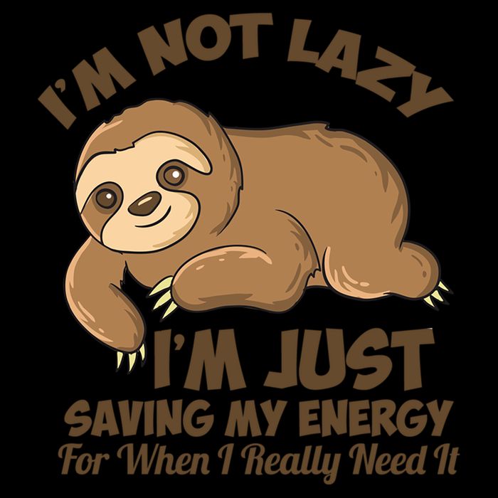 I'm Not Lazy I'm Just Saving My Energy Funny Sloth Saying  Button