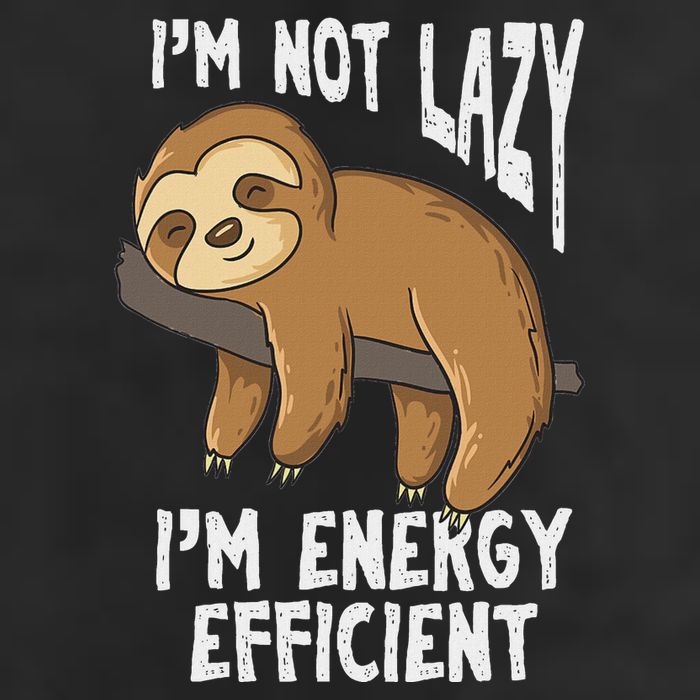 IM Not Lazy IM Energy Efficient Funny Sloths Knit Cap Winter Beanie