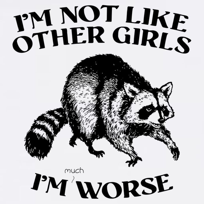 Im Not Like Other Girls Im Much Worse Possum T-Shirt