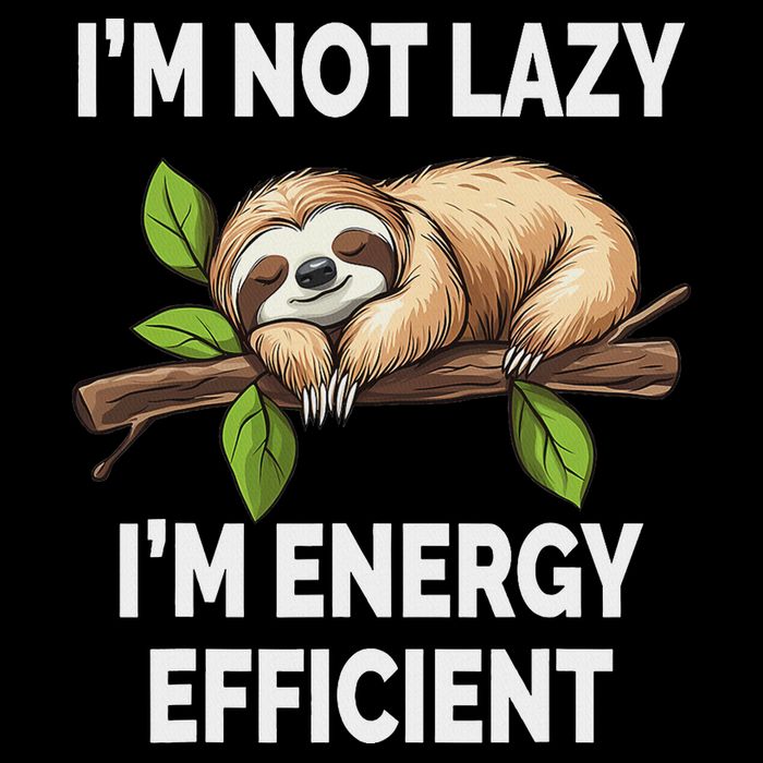 I'm Not Lazy I'm Energy Efficient Funny Sloth 7-Panel Snapback Hat