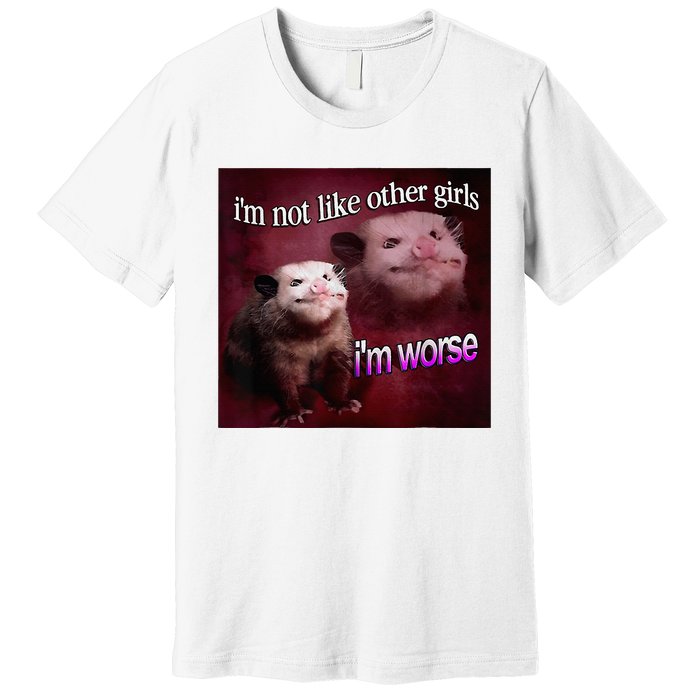 I’M Not Like Other Girl I’M Worse Women Friend Premium T-Shirt