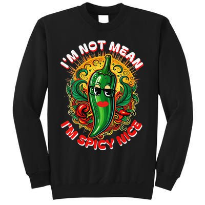 Im Not Mean Im Spicy Nice Sarcastic Humor Sarcasm Funny Gift Sweatshirt