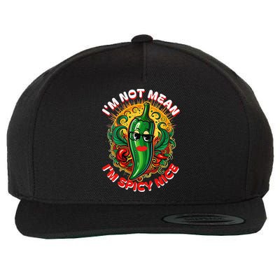 Im Not Mean Im Spicy Nice Sarcastic Humor Sarcasm Funny Gift Wool Snapback Cap