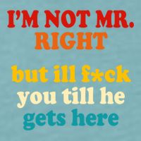 I’m Not Mr Right But Ill F You Till He Gets Here Sueded Cloud Jersey T-Shirt