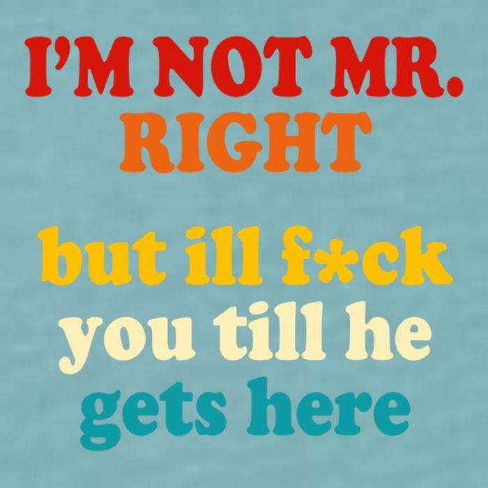 I’m Not Mr Right But Ill F You Till He Gets Here Sueded Cloud Jersey T-Shirt