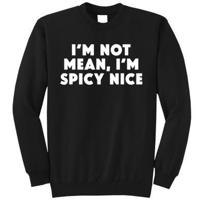 IM Not Mean IM Spicy Nice Funny Adult Humor Saying Sweatshirt