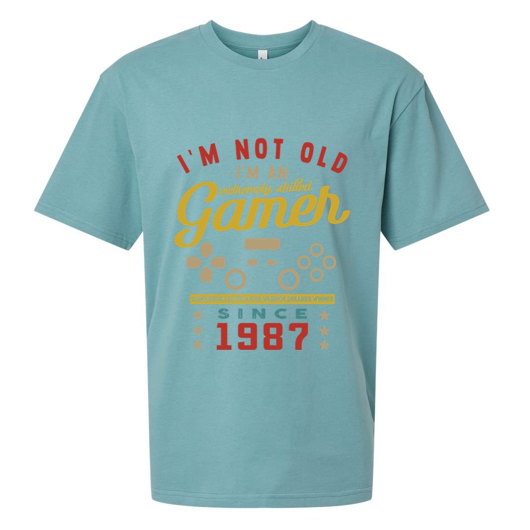 IM Not Old IM A Skilled Gamer 1987 Videogame Gaming Gift Sueded Cloud Jersey T-Shirt