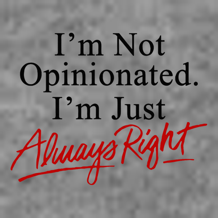 I’M Not Opinionated I’M Just Always Right Hooded Wearable Blanket