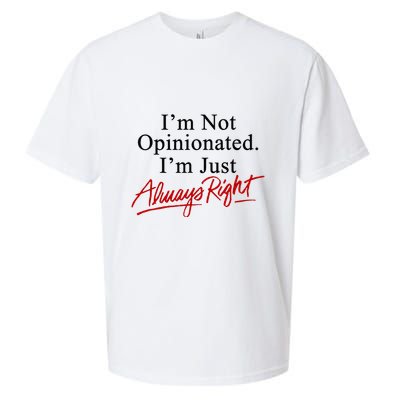 I’M Not Opinionated I’M Just Always Right Sueded Cloud Jersey T-Shirt