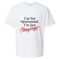 I’M Not Opinionated I’M Just Always Right Sueded Cloud Jersey T-Shirt
