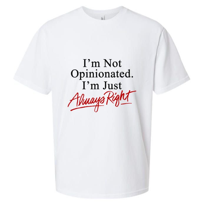 I’M Not Opinionated I’M Just Always Right Sueded Cloud Jersey T-Shirt