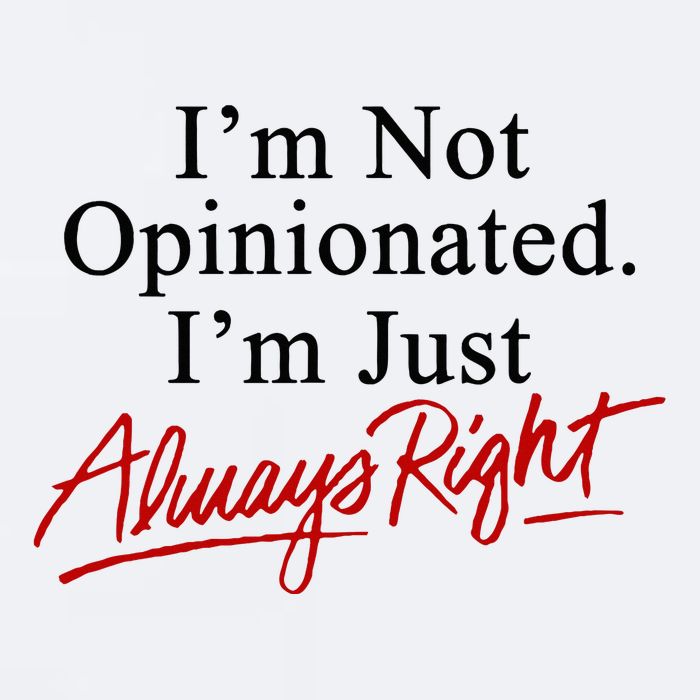 I’M Not Opinionated I’M Just Always Right Sueded Cloud Jersey T-Shirt