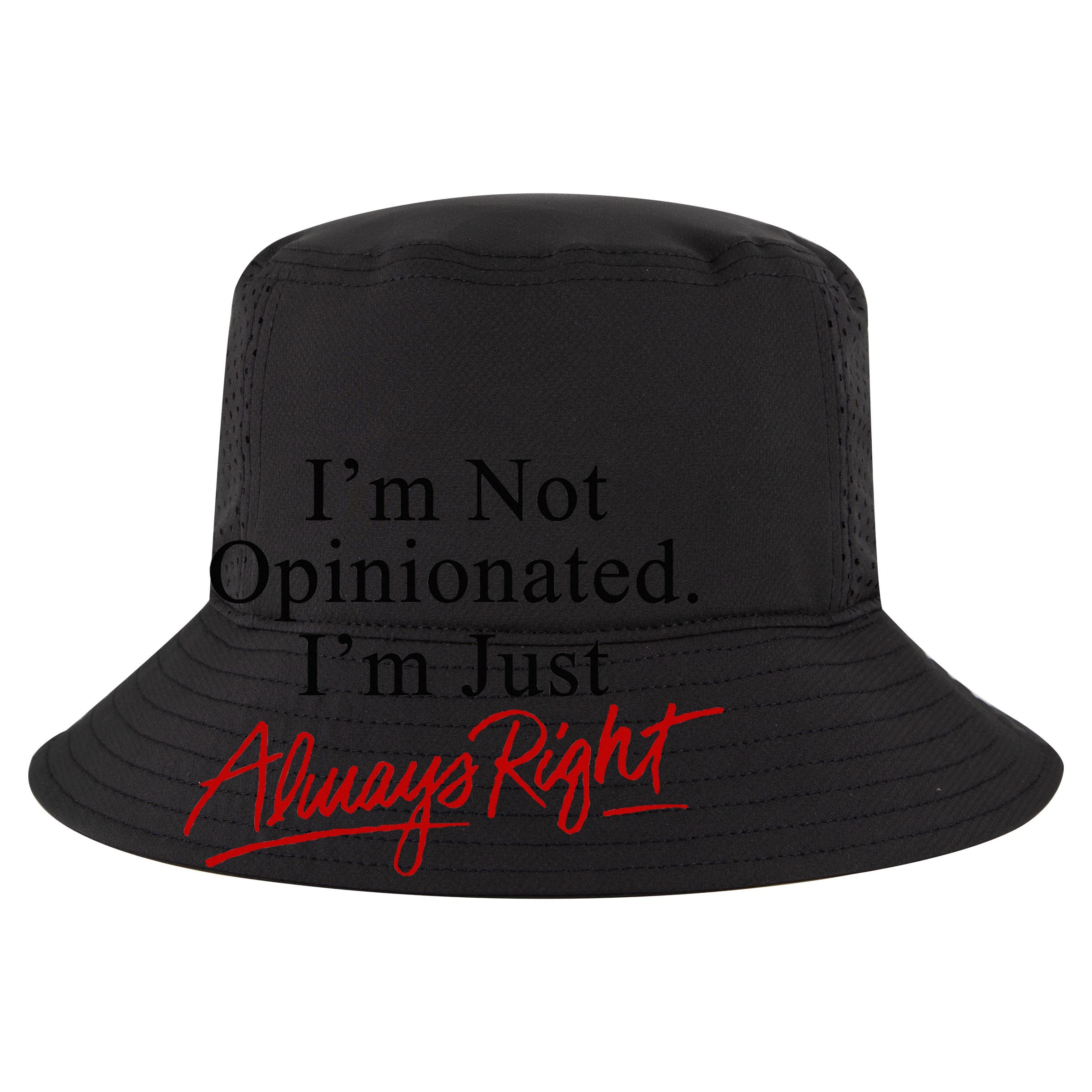 I’M Not Opinionated I’M Just Always Right 12oz Stainless Steel Coffee Mug
