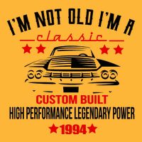Im Not Old Im A Classic Custom Built 1994 30th Birthday Hoodie