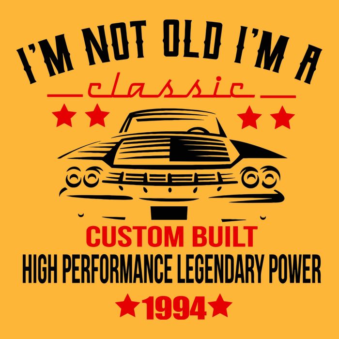 Im Not Old Im A Classic Custom Built 1994 30th Birthday Hoodie